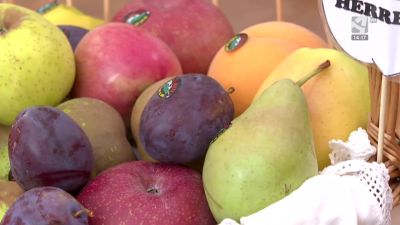 V Feria de la Fruta del Valle del Manubles