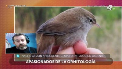 Anillamiento de aves migratorias