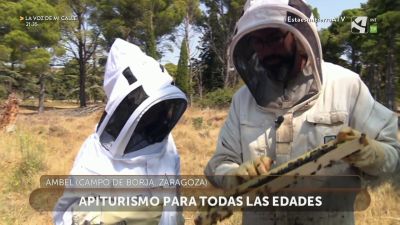 Apiturismo