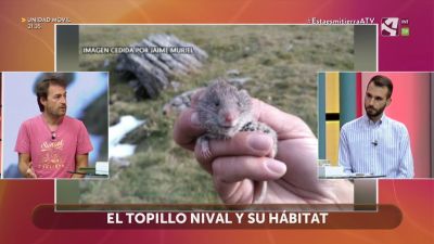 Especies vulnerables ante el cambio climático
