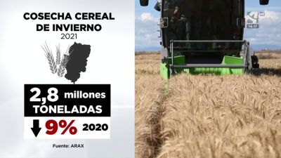 Cereal de invierno
