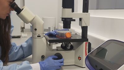 Imagen de archivo de una investigadora.