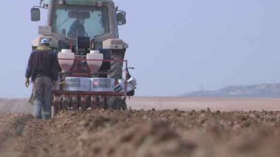Imagen de archivo de varios agricultores con un tractor.