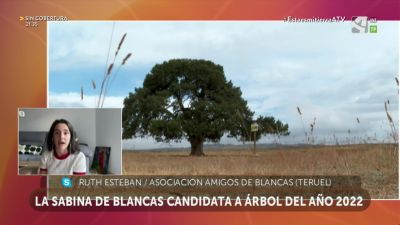 ¡Votamos a la Sabina de Blancas!