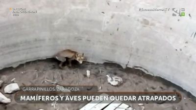 Los rescatadores: Censo de puntos de agua