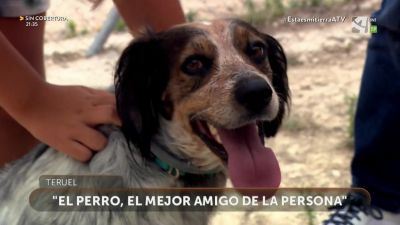 "Amigo mío" estrena refugio