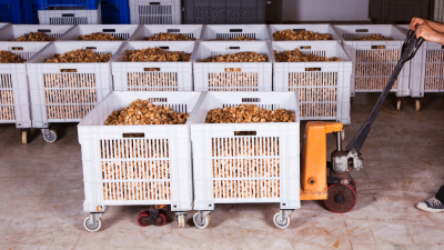 Sector agroalimentario (Canva).