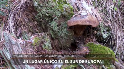 Monegro, único en el sur de Europa