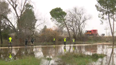 Trabajos en Pina de Ebro (Zaragoza) este miércoles.