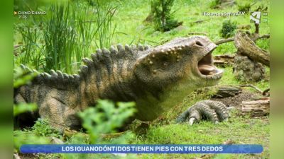 Ornitópodos iguanodóntidos