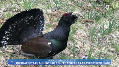 El cambio climático nos afecta a todos
