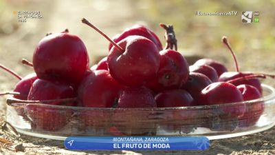 Redescubriendo el acerolo o zerolla