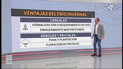 Ventajas del frío invernal