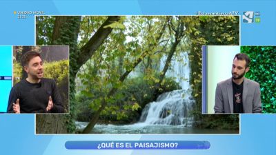 Paisajismo: definición de conceptos