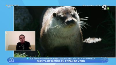 Nutrias en Pozán de Vero