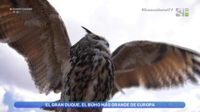 El gran duque