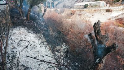Lugar en el que se ha iniciado el incendio forestal en Sopeira. | Diputación de Huesca