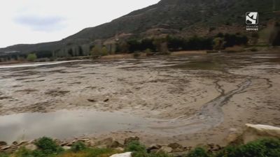 Los lodos inutilizan parte del embalse de Ribarroja.