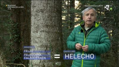 En la abetosa de Lasieso: sustro, felze, chigüerre