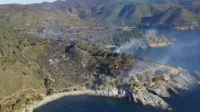 Imagen aérea del incendio en Rosas (Gerona). / Bombers de la Generalitat