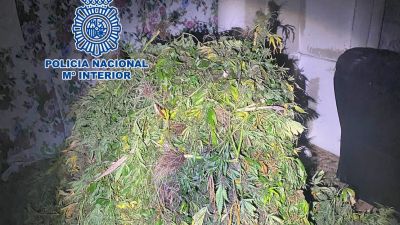 Contenido de uno de los sacos incautados. / Policía Nacional.