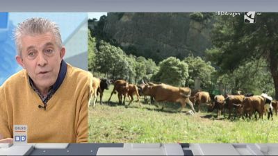 Situación del campo (y III)