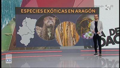 Especies invasoras (I)