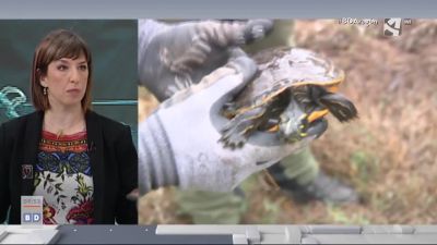 Especies invasoras (y II)
