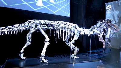 Imagen de un dinosaurio en el Museo de Paleontología de Territorio Dinópolis.