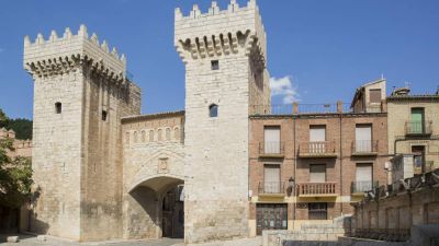 Imagen del Castillo de Daroca. / Foto: Turismo de Aragón
