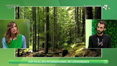 Día Internacional de los Bosques