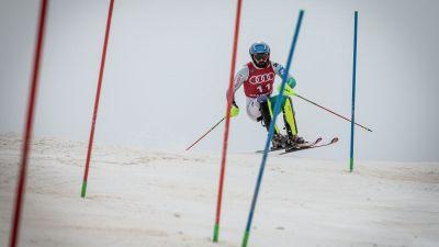 Quim Salarich, campeón de España de esquí eslalon. / EP