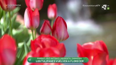 Primavera, de nuevo