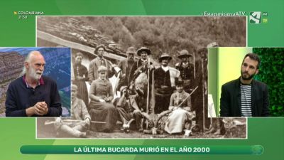 El extinto bucardo pirenaico