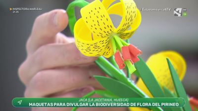 Divulgación de la biodiversidad