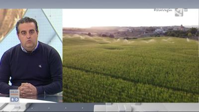 Censo agrario (I)