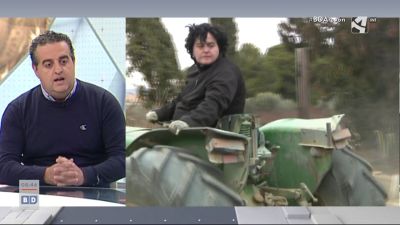Censo agrario (II)