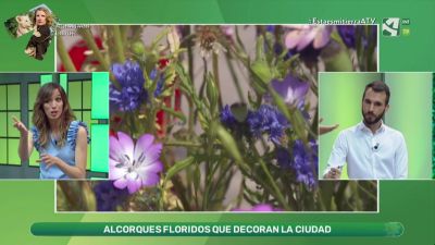 Fenómeno parabrisas: una forma de medir la desaparición de los insectos