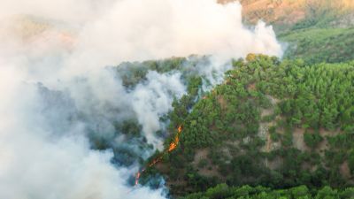 Incendio forestal.