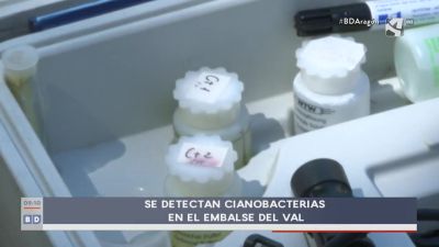 Cianobacterias en el Embalse de El Val