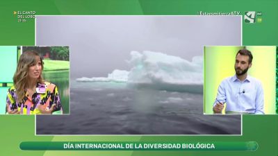 Día Internacional de la Diversidad biológica
