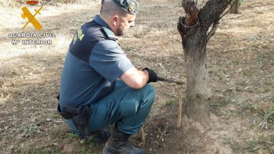 Agentes del SEPRONA de la Guardia Civil de Monzón intervinieron 8 lazos de acero, una jaula trampa y un cepo.
