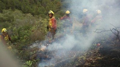 Foto de archivo de un incendio forestal./ Gobierno de Aragón