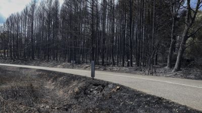 Vista general de los daños producidos por el incendio en la sierra de la Culebra. (EFE/Mariam A. Montesinos)