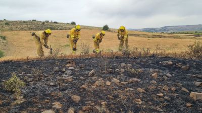 Cuadrilla terrestre de Pelarda en el incendio de Castejón de Tornos. / Gobierno de Aragón.