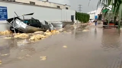Imagen de algunos destrozos tras el paso de la tormenta. / Macu Herr