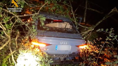 Al intentar huir a gran velocidad, cayó por un barranco. (Guardia Civil).