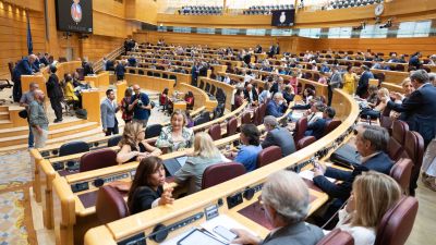 Sesión plenaria este martes en el Senado. / Senado