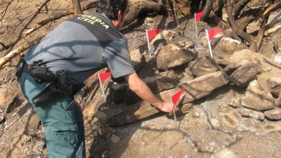 Un agente del Seprona investiga el origen del fuego en Castelserás. / Guardia Civil