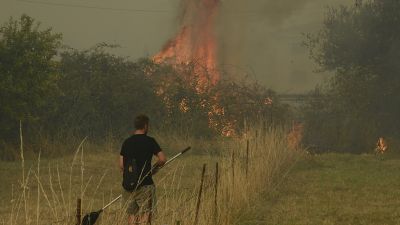 Los incendios forestales han calcinado ya más de 3.500 hectáreas de territorio gallego./ Europa Press.